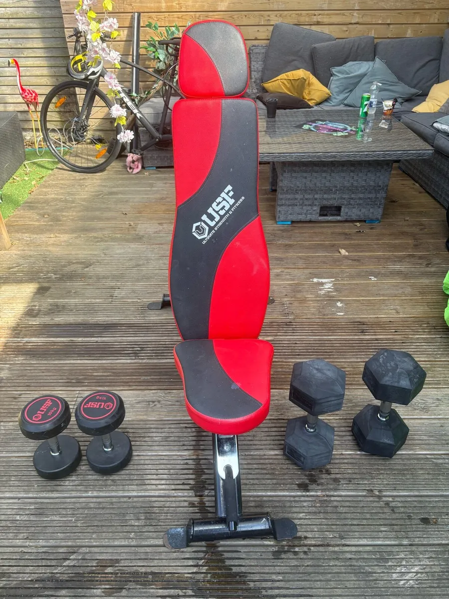 Gym Bench + weights 10kg and 22kg - Image 1