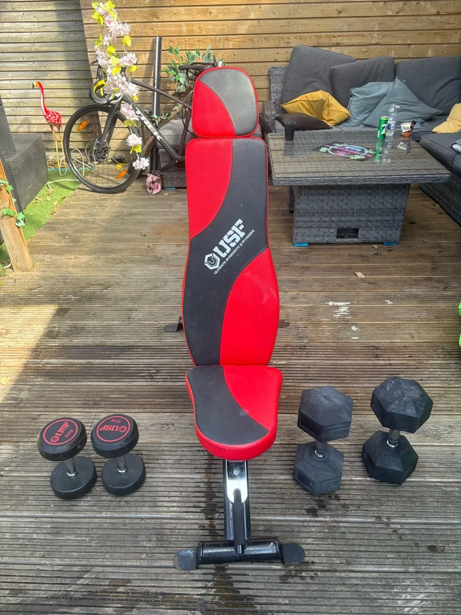 Gym Bench + weights 10kg and 22kg - Image 2