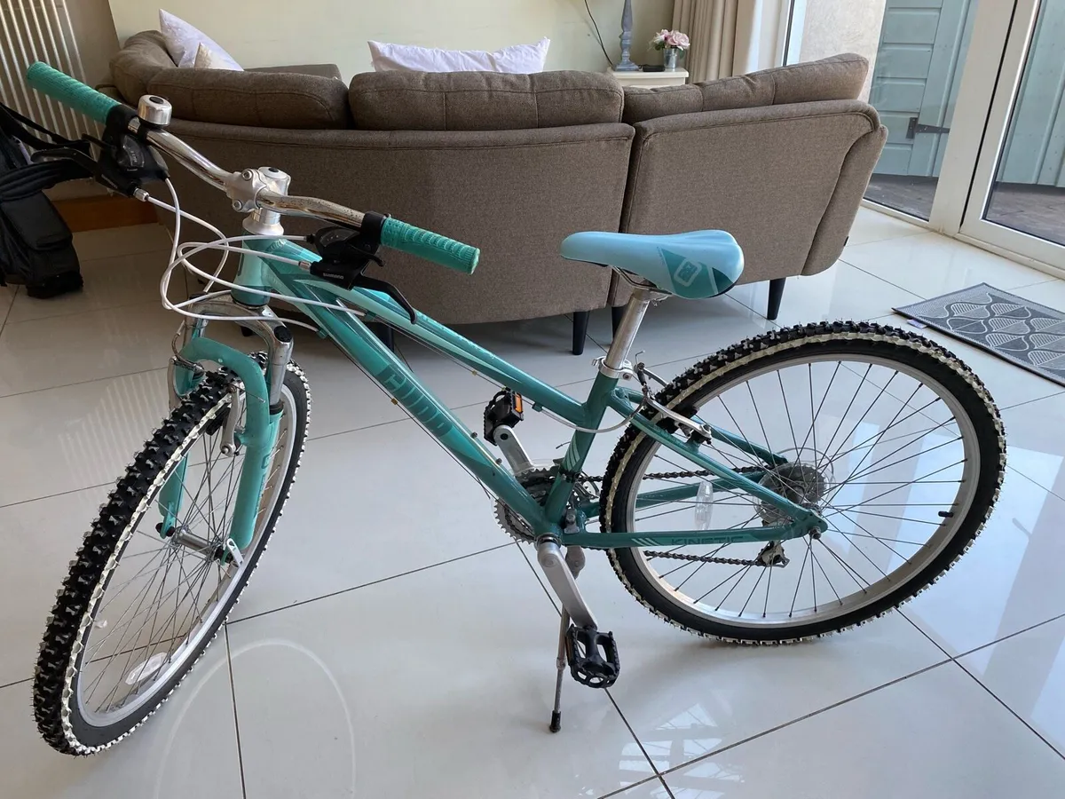 Bicycle - Image 1