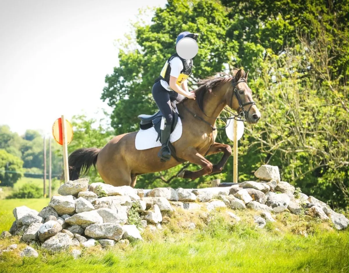 Pony - Image 1
