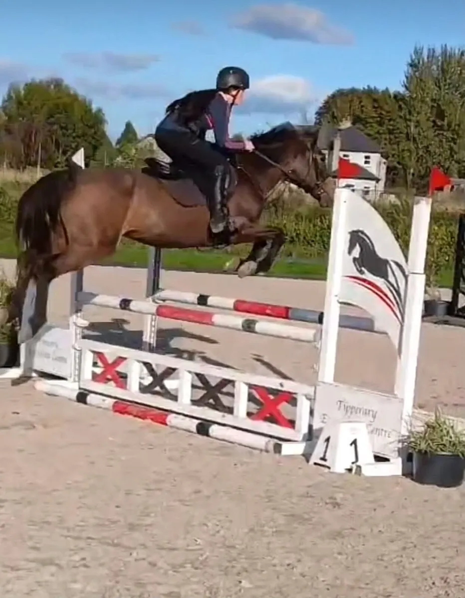 Pony - Image 4