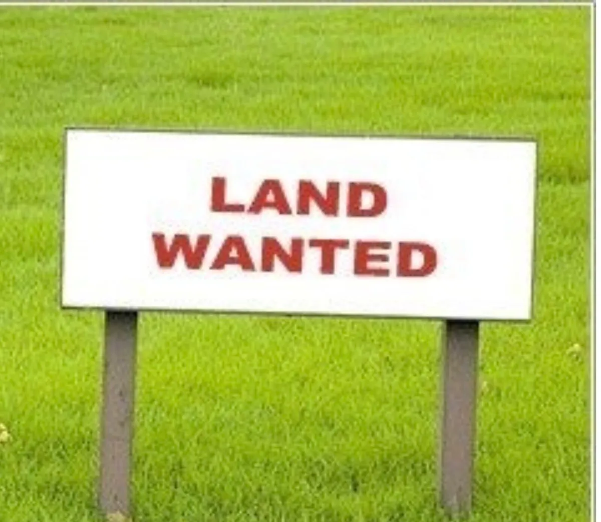 Grazing wanted