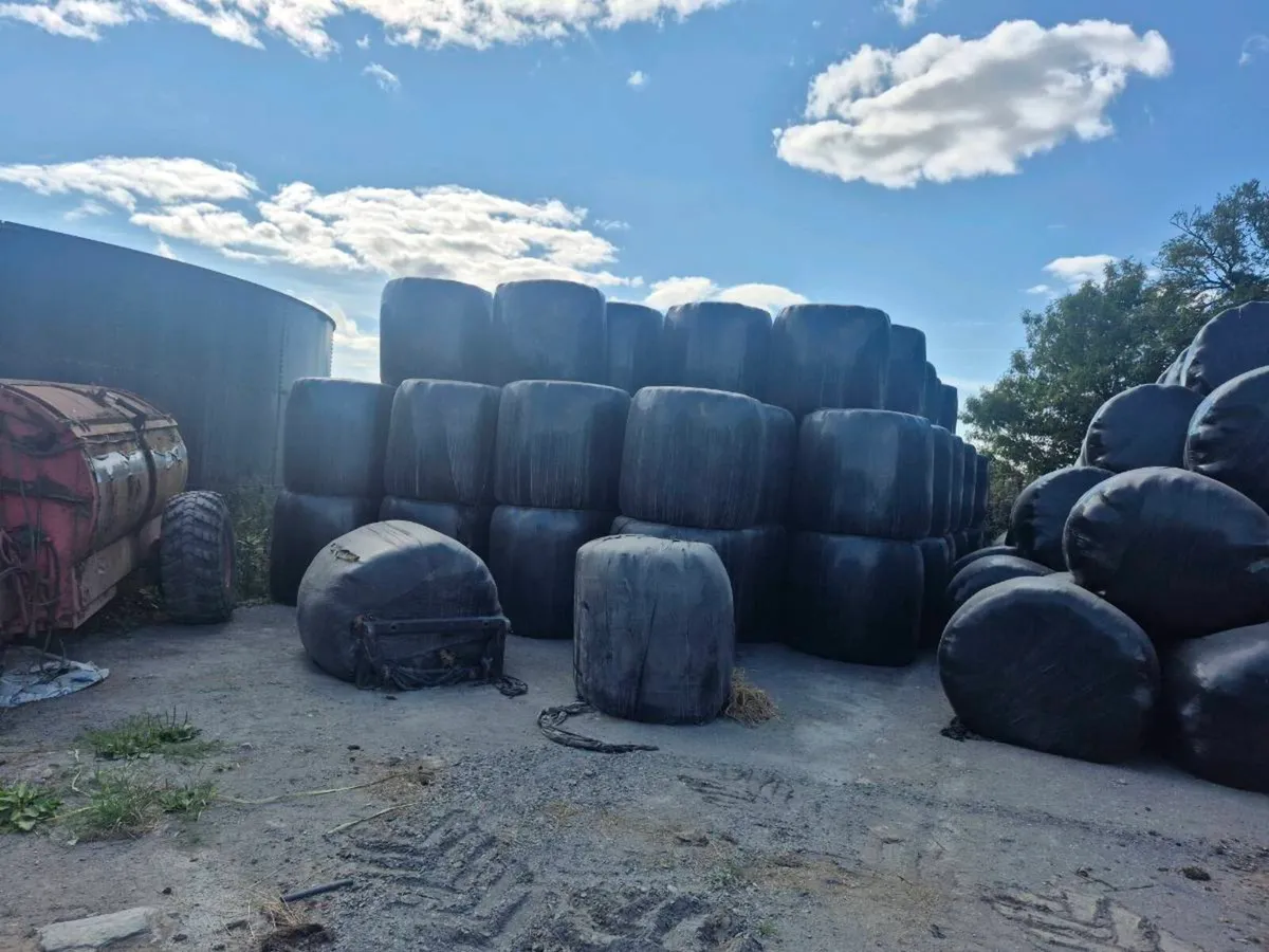 Silage and Haylage - Image 1