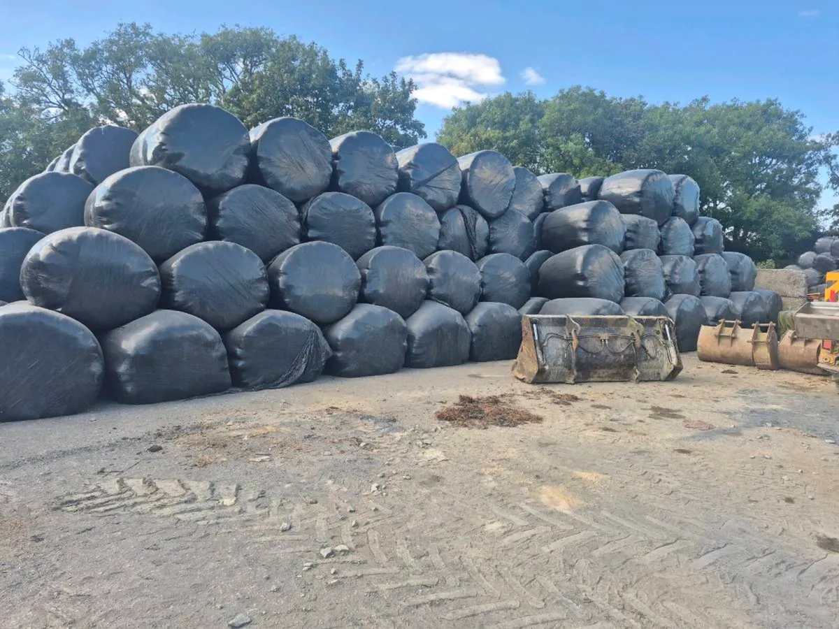 Silage and Haylage - Image 2