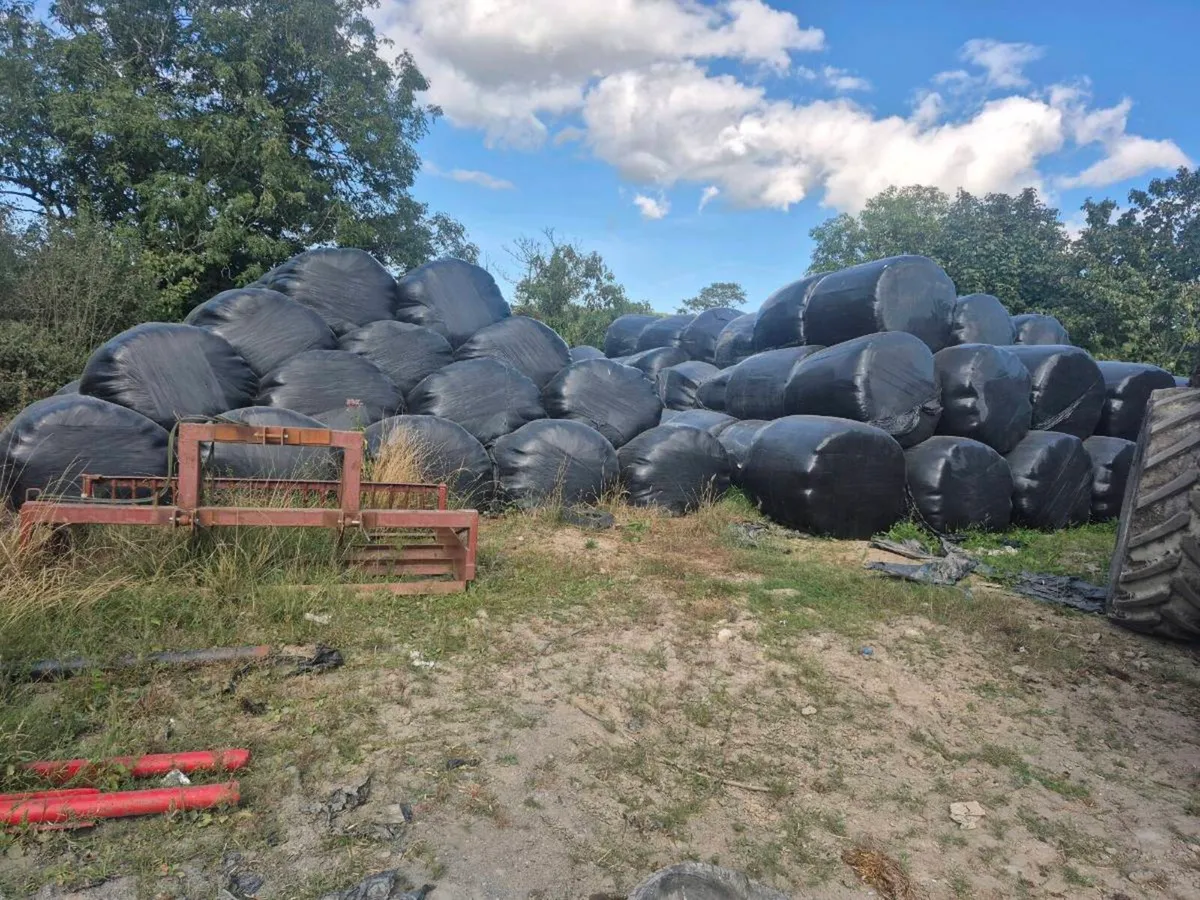 Silage and Haylage - Image 3
