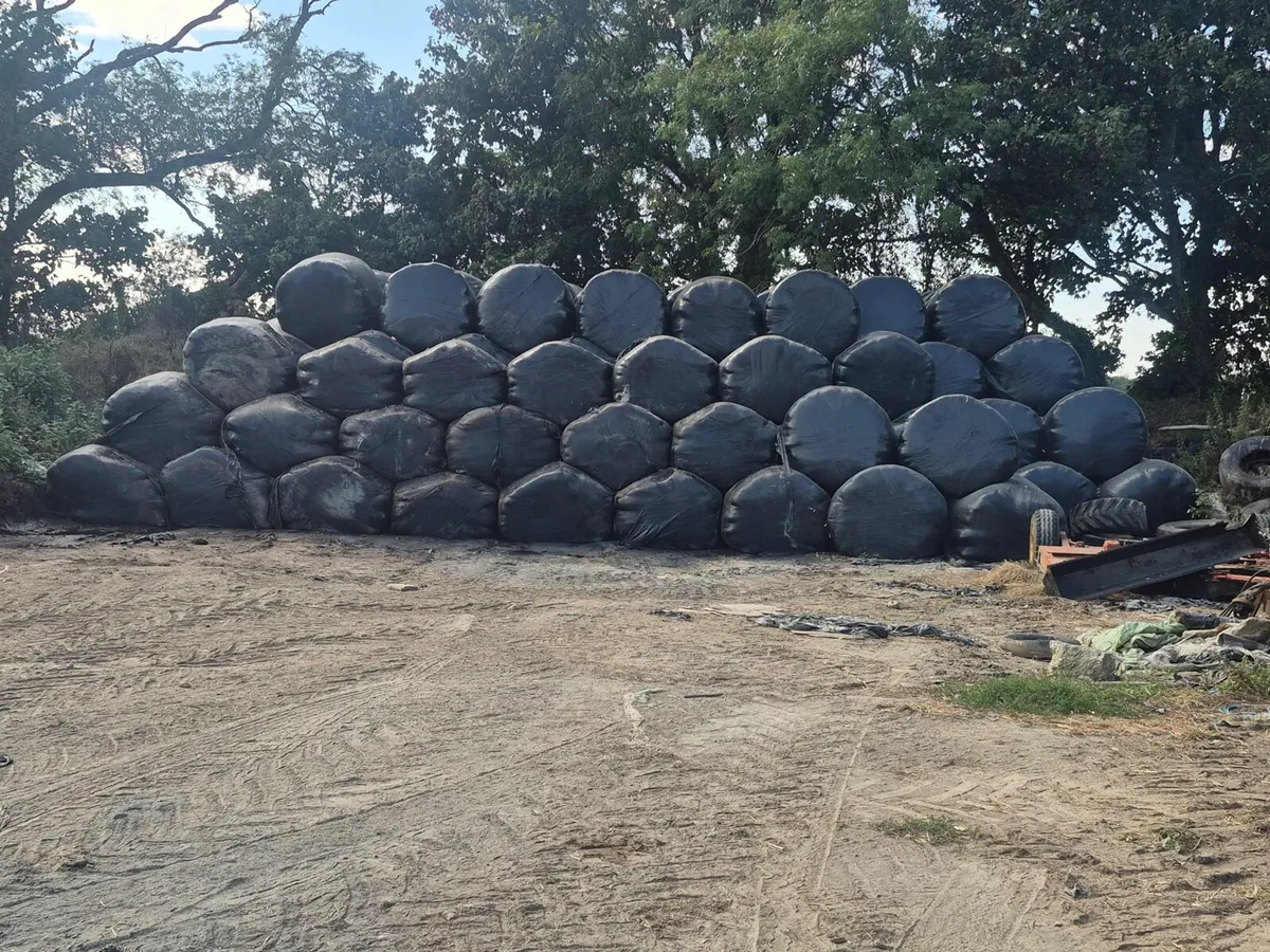 Silage and Haylage - Image 4
