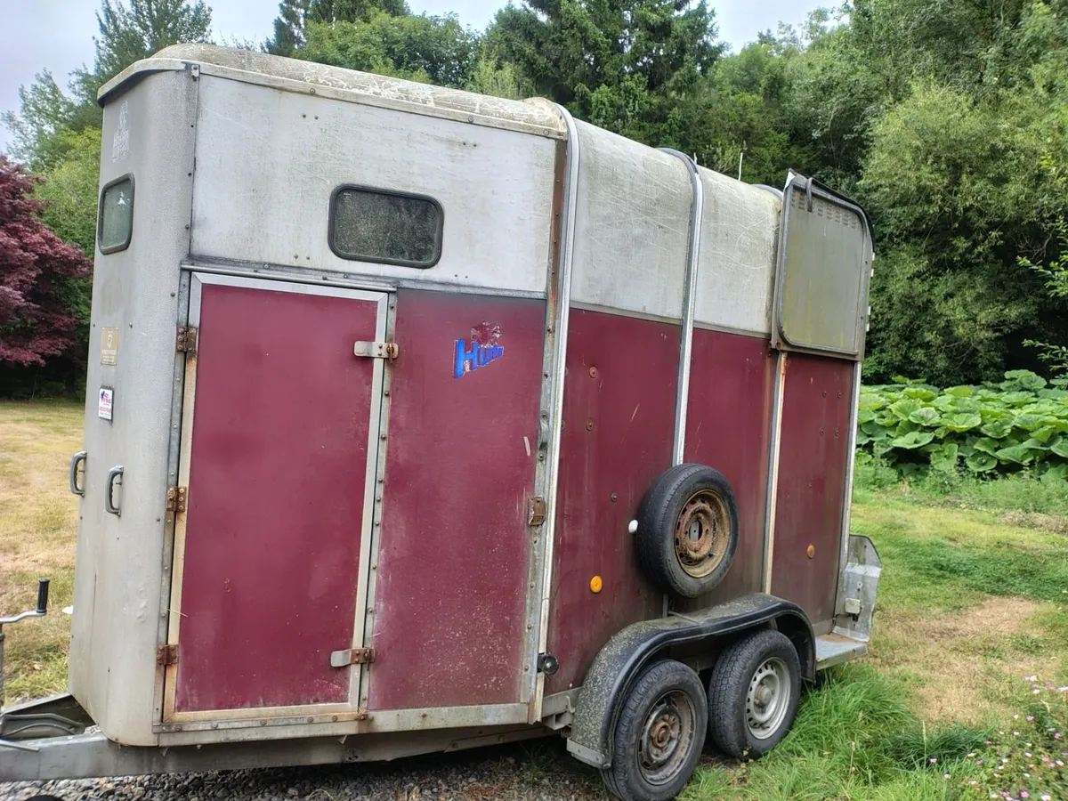 Ifor Williams 510 horse box - Image 4