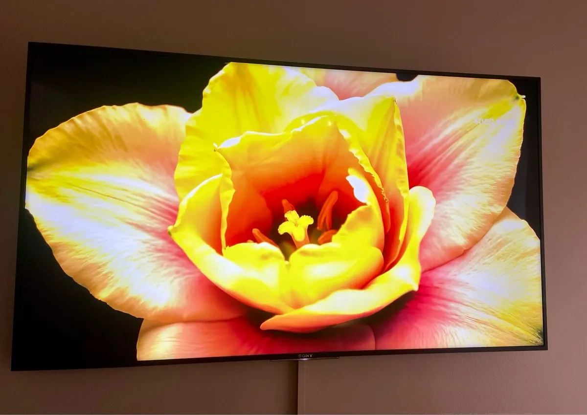 Sony Bravia 49” 4K Smart & Android TV - Image 4