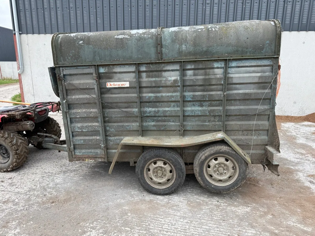 Delaney Delmore cattle trailer - Image 2