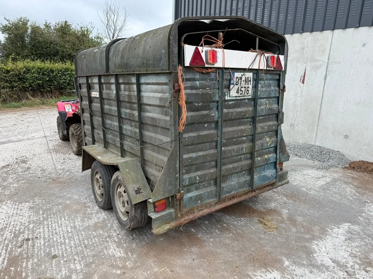 Delaney Delmore cattle trailer - Image 3