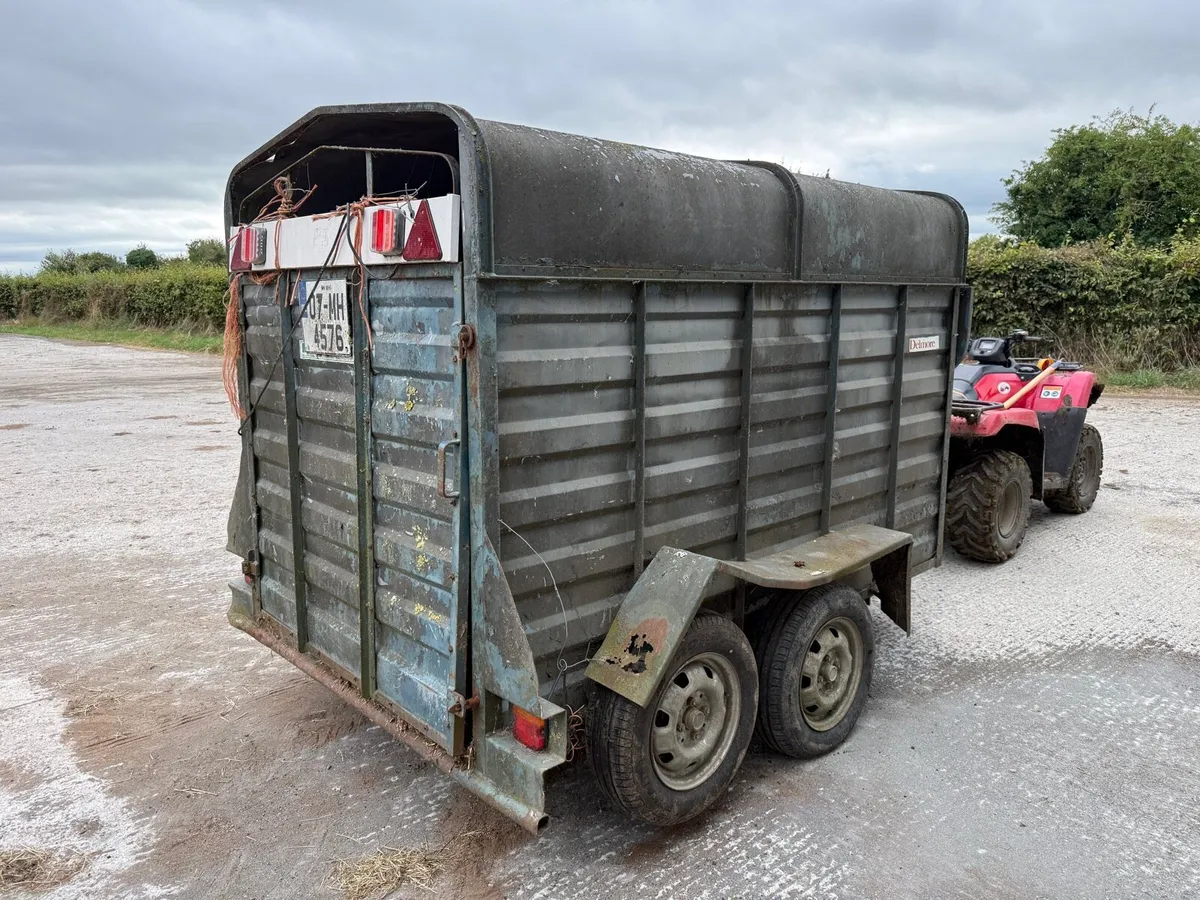Delaney Delmore cattle trailer - Image 4