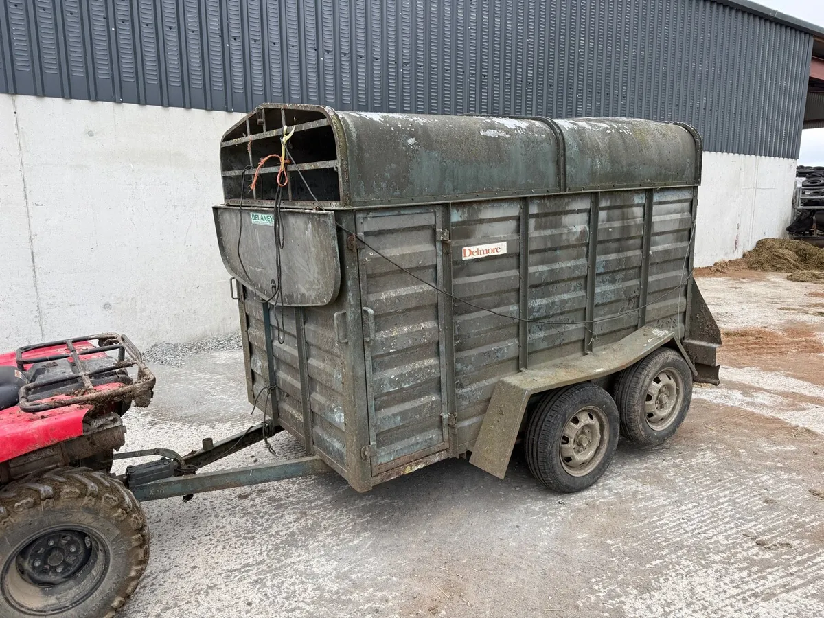Delaney Delmore cattle trailer - Image 1