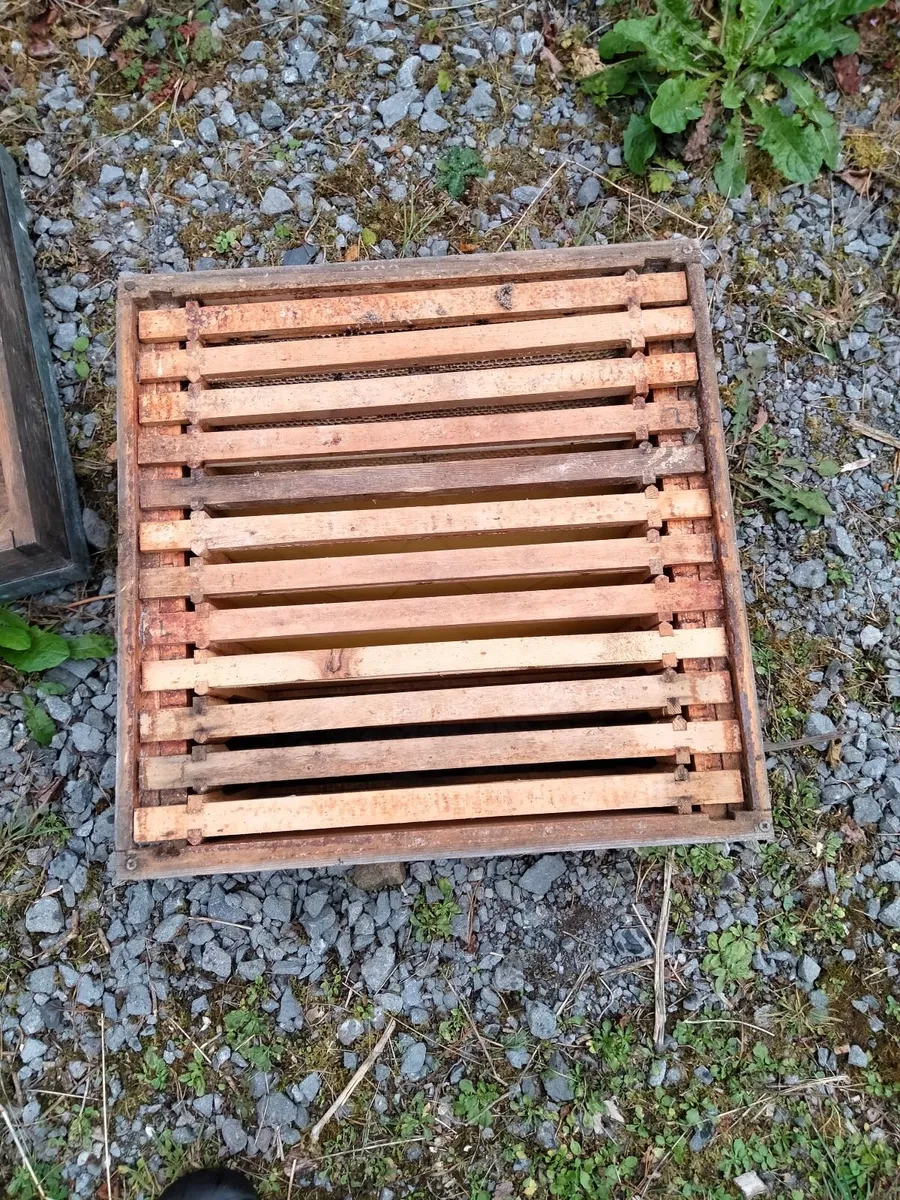 Bee keeping