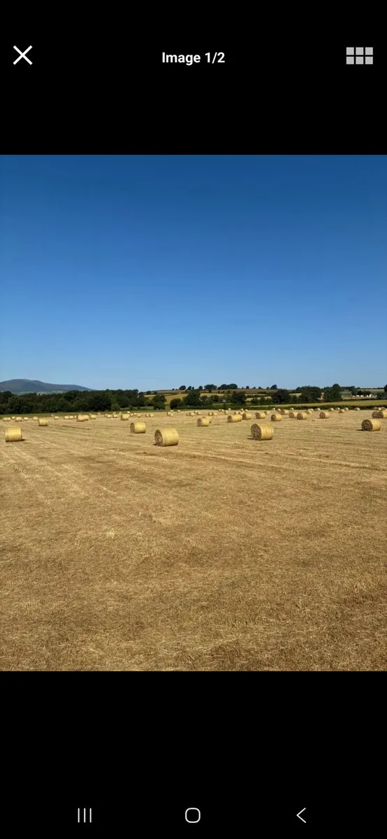Quality Haylage and Hay for sale
