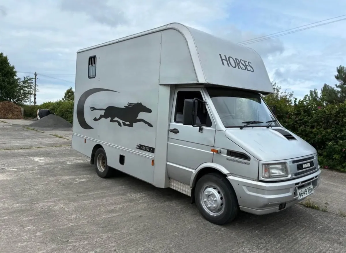 Iveco Daily Ascot 2 Horse Lorry 6.4 tonne - Image 1
