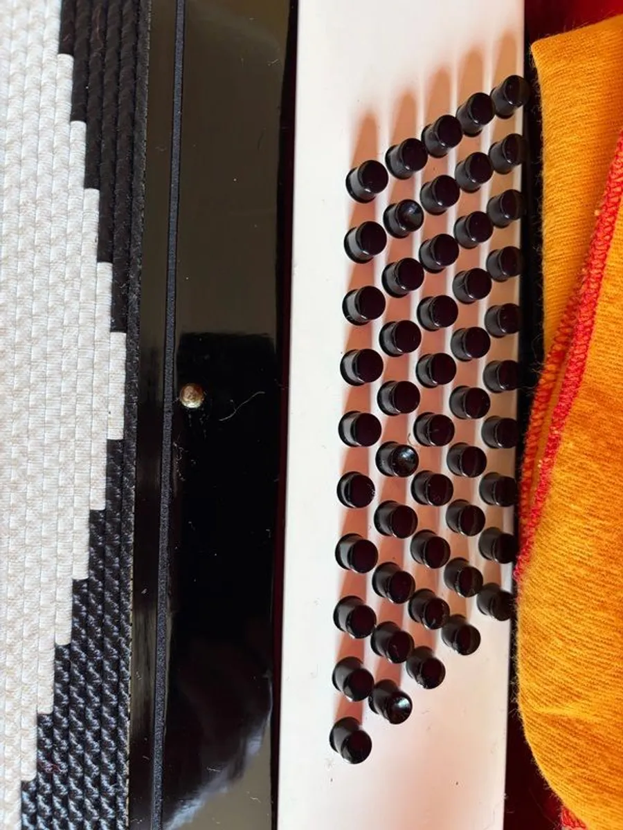Piano Accordion Titano 50 bass 1980 - Image 3