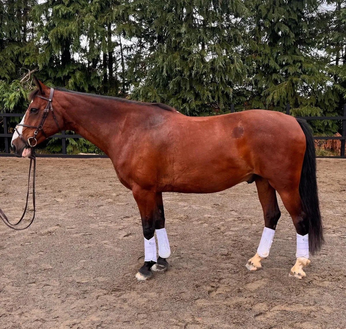 REDUCED DUE TO OWNER GOING TO COLLEGE