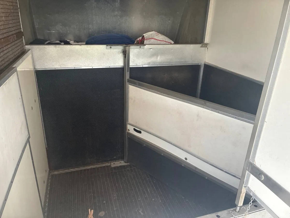 Iveco Daily Ascot 2 Horse Lorry 6.4 tonne - Image 4