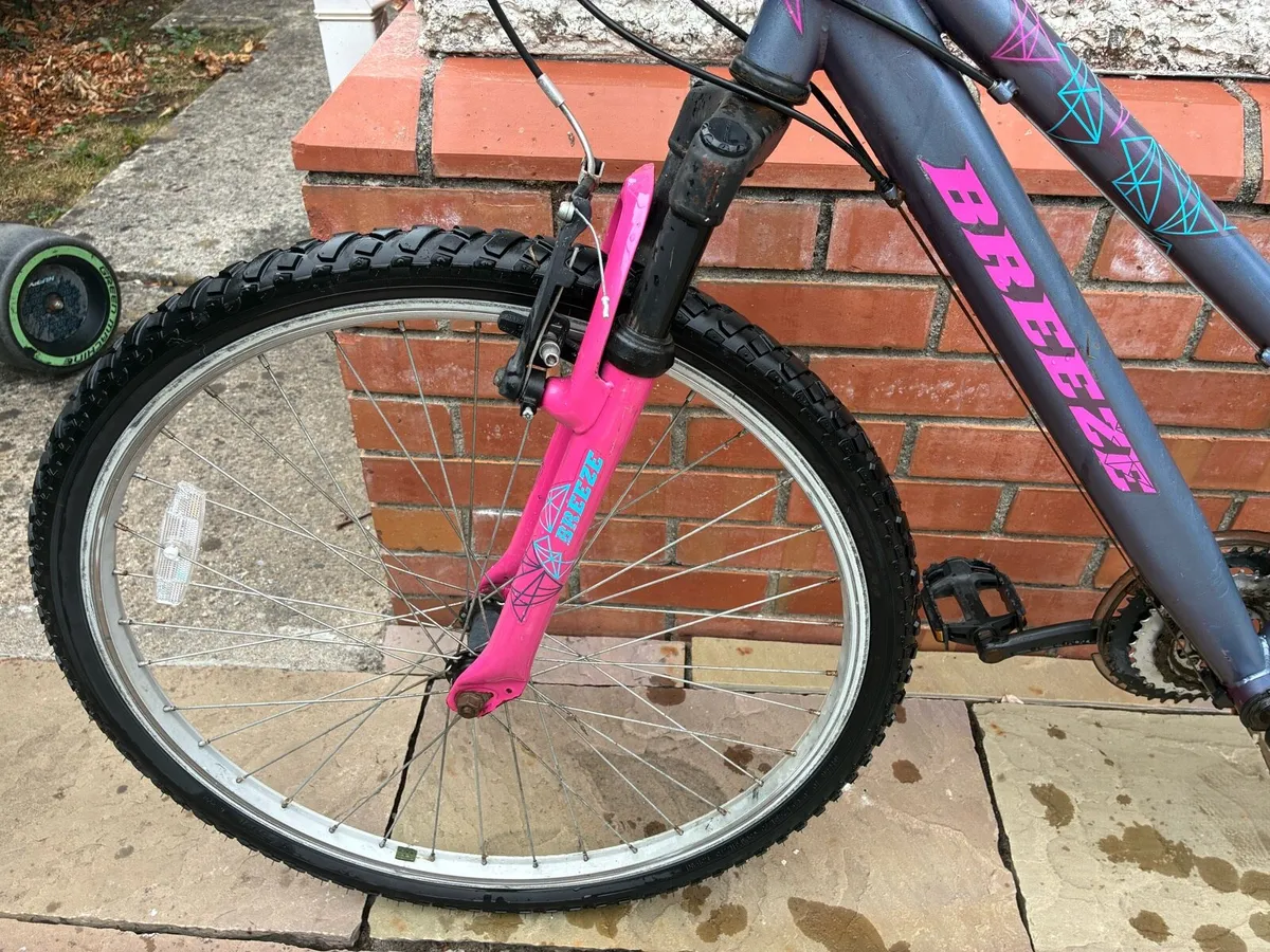 Apollo Breeze - GIRLS Mountain Bike 24”- 26” - Image 4