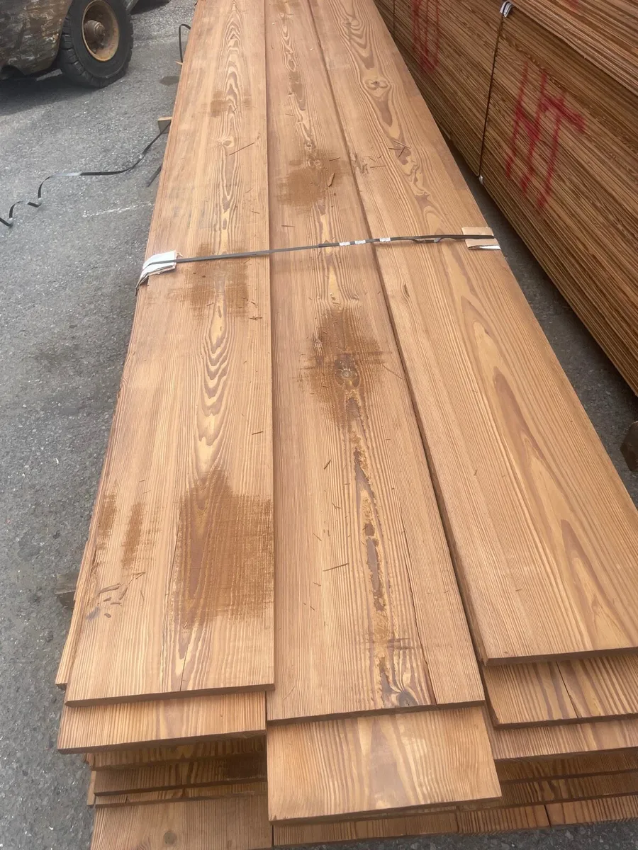 American pitch pine - Image 2