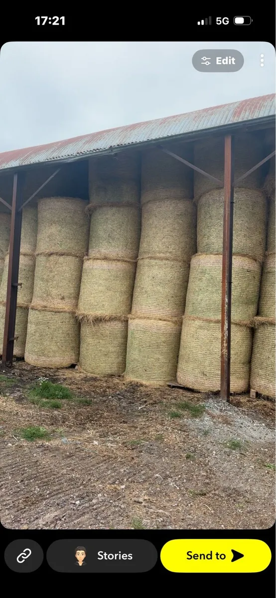 Hay - Image 1