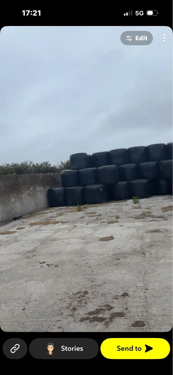 Hay - Image 2