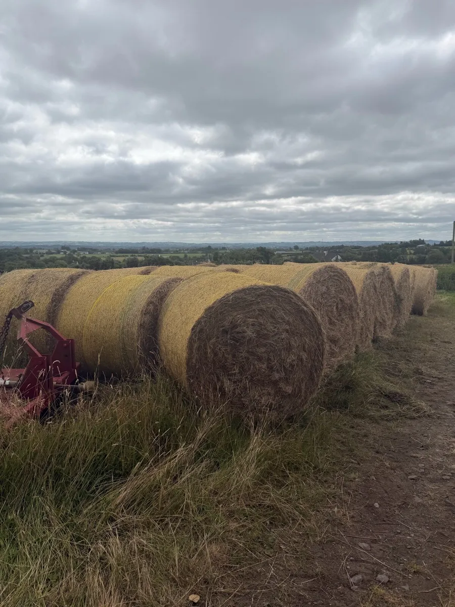 Hay bales - Image 2