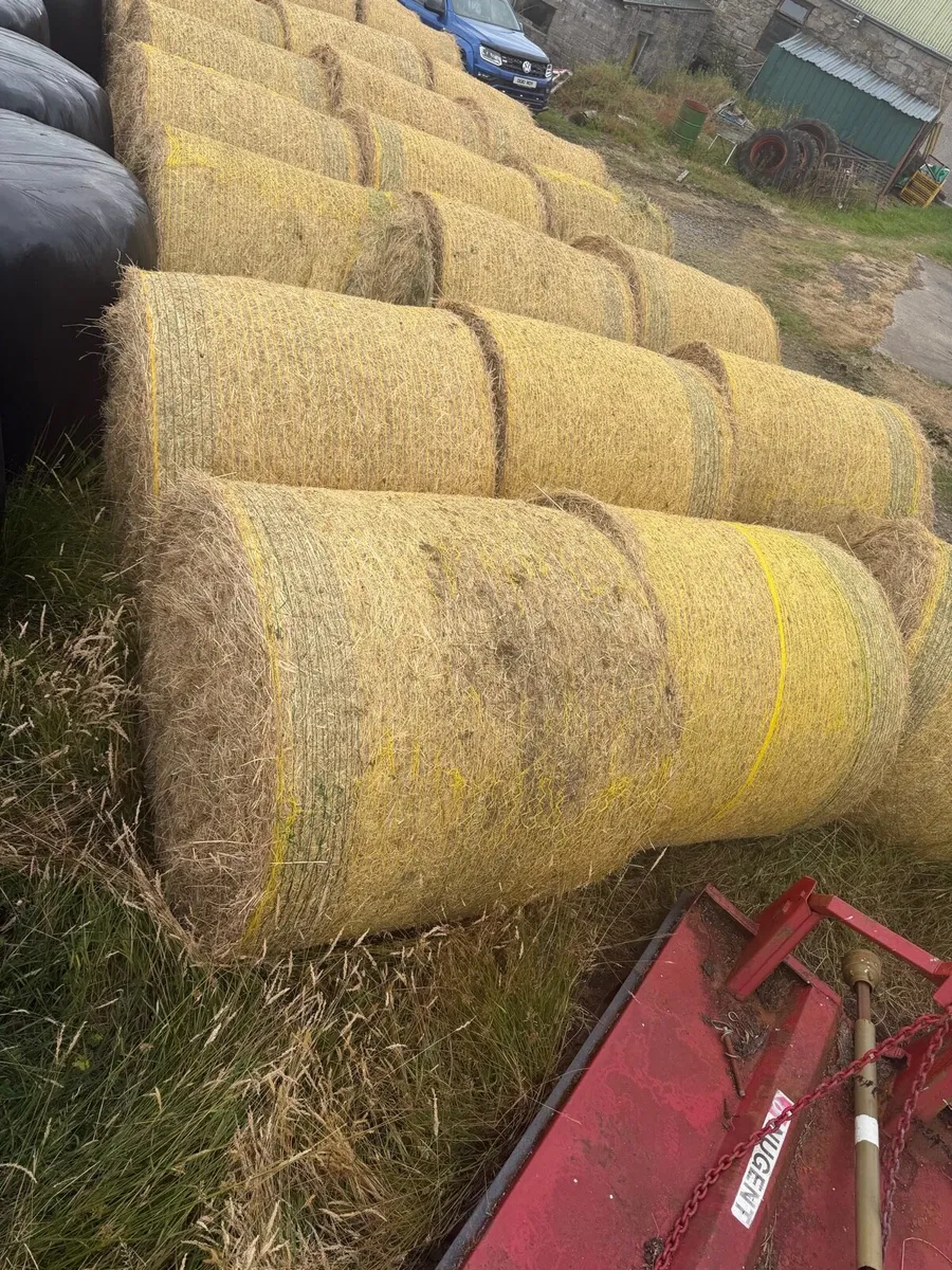 Hay bales - Image 3