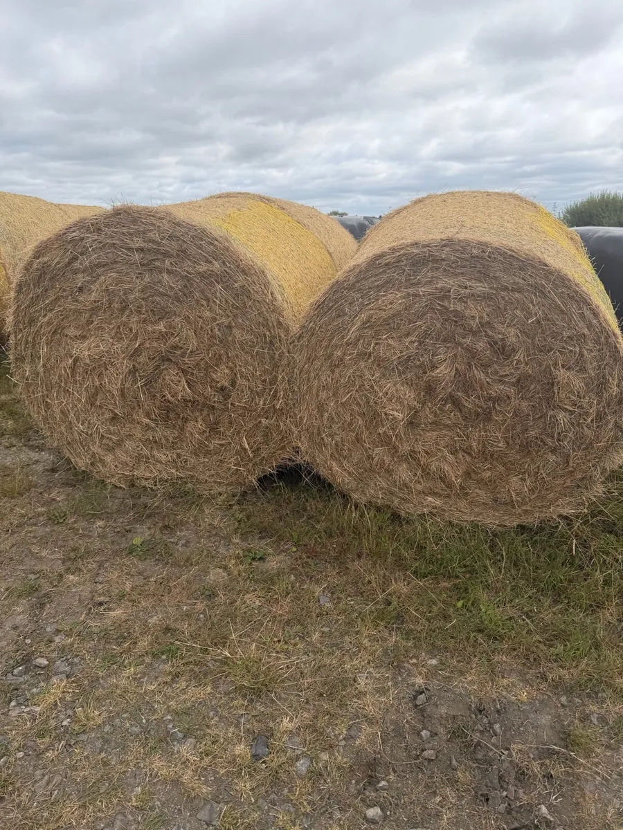 Hay bales - Image 1