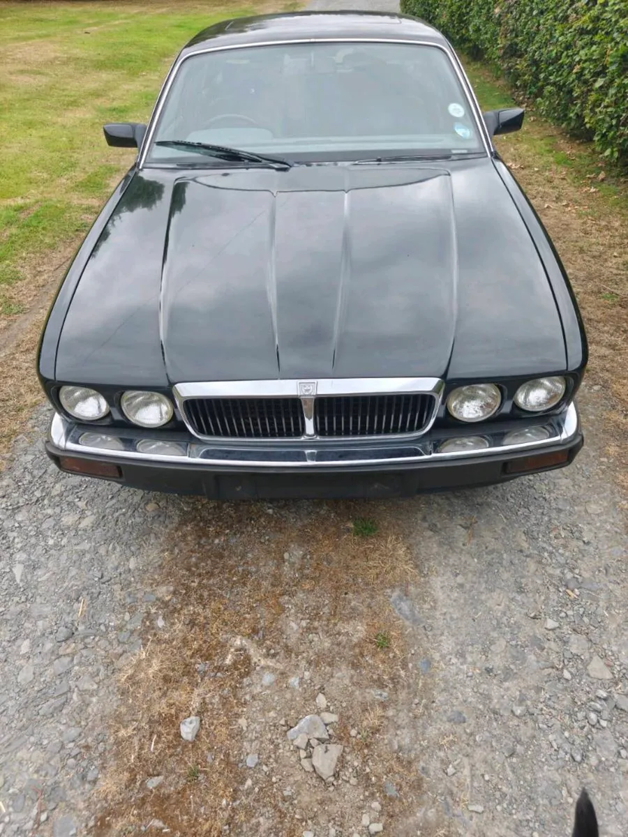 Jaguar xj6 - Image 4