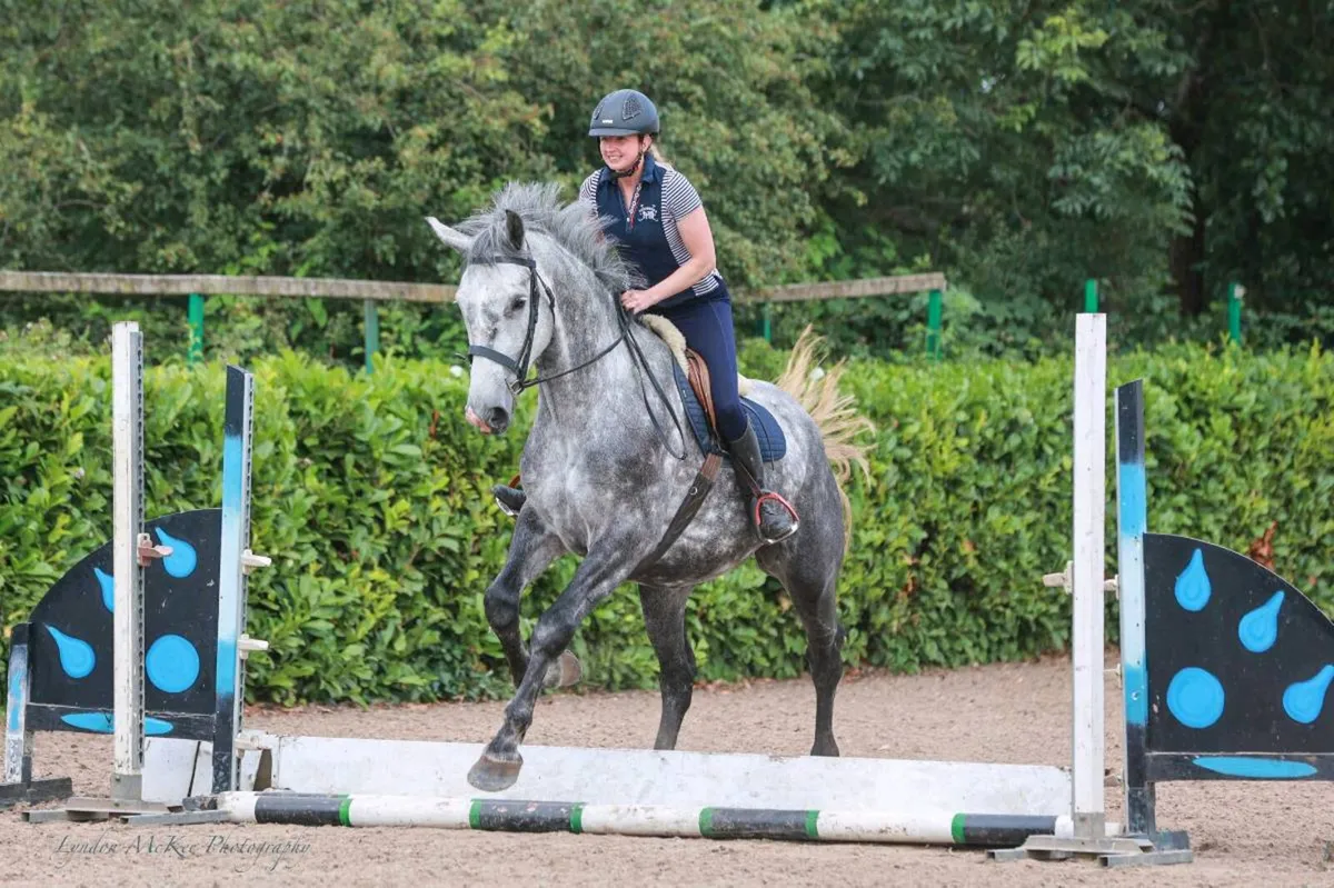 Beautiful 17.2hh Registered Irish Draught Mare - Image 1