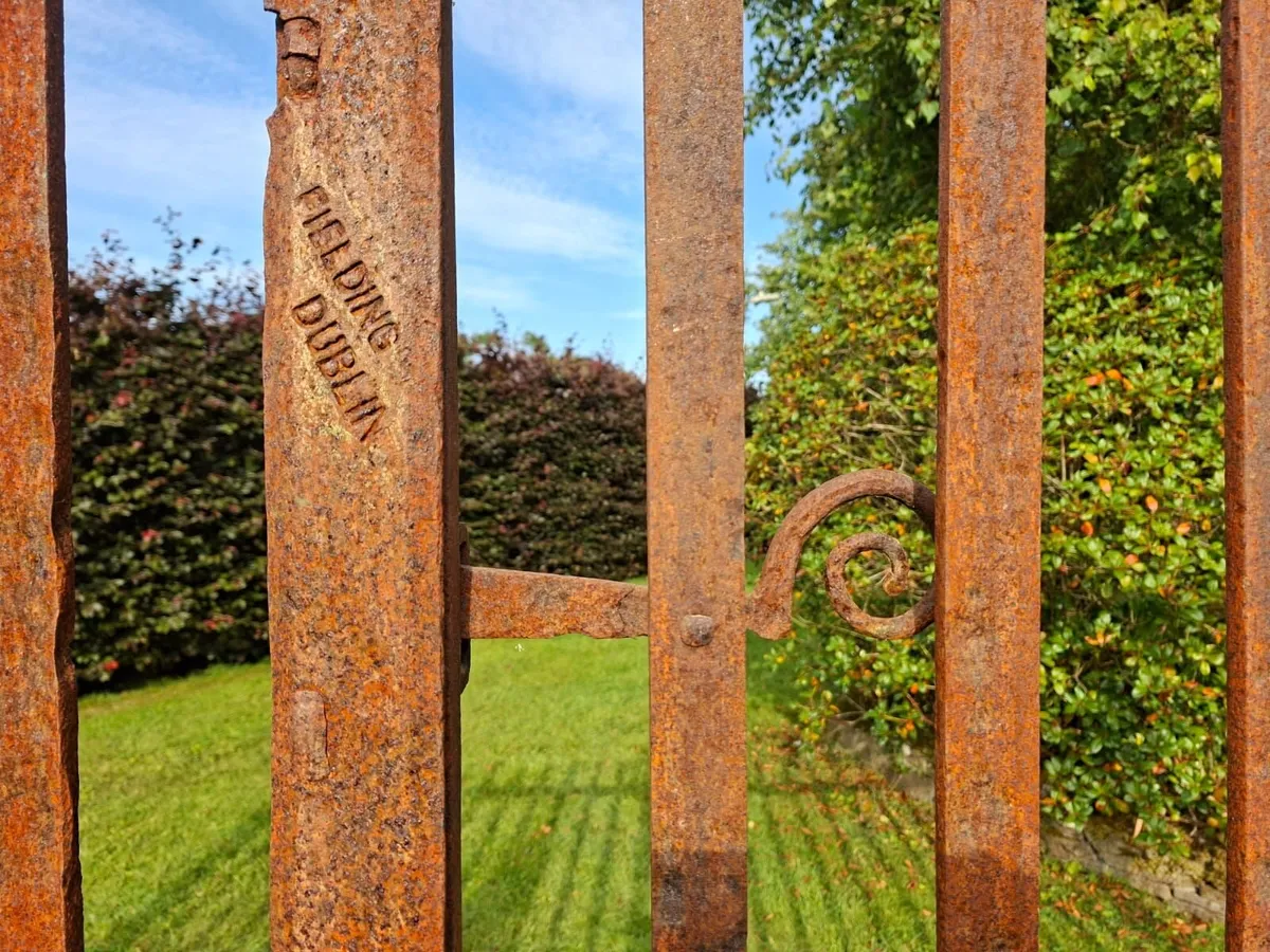 Antique Wrought Iron Gates - Image 4