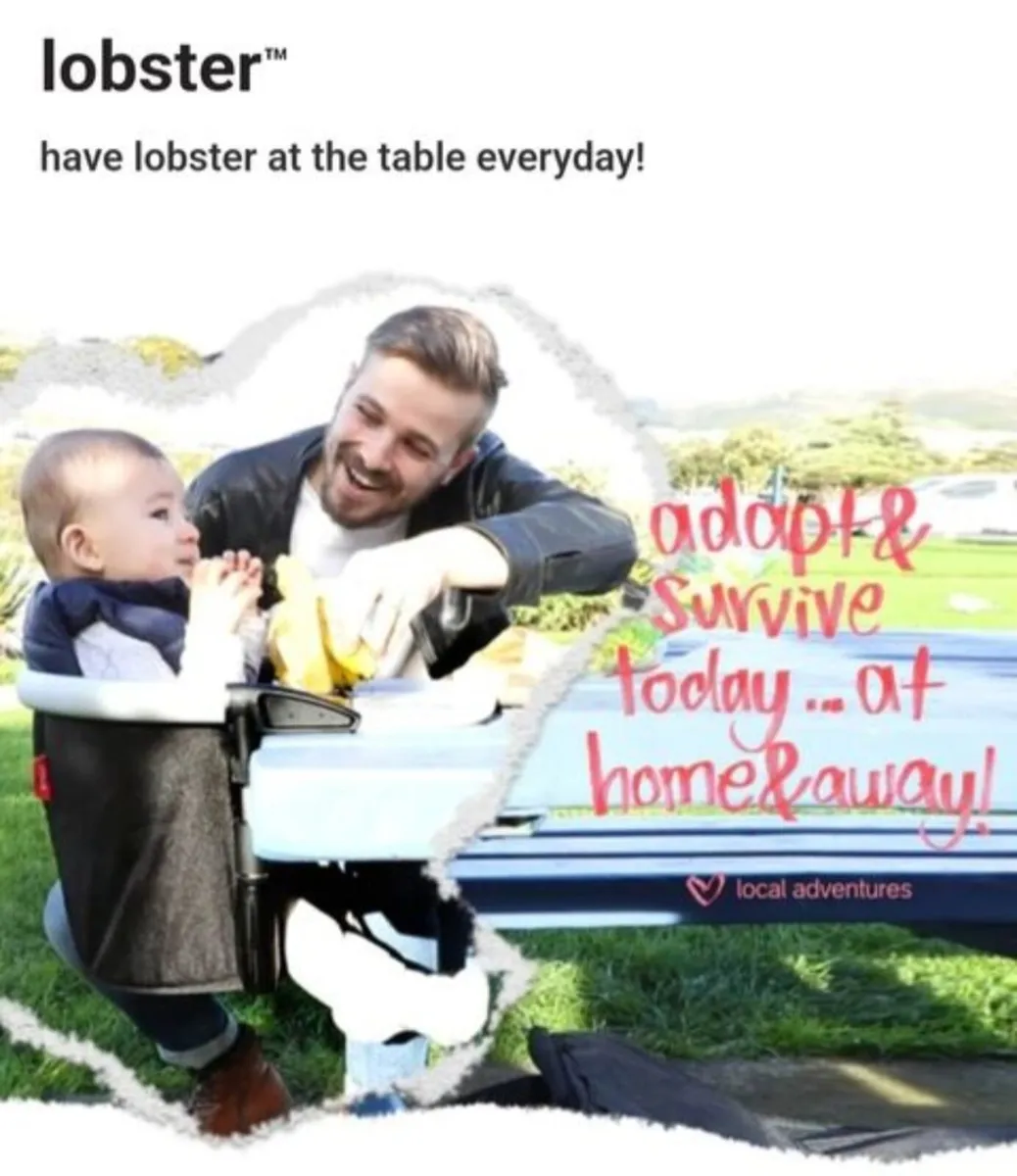 Phil and Teds Lobster Portable Highchair - Image 1