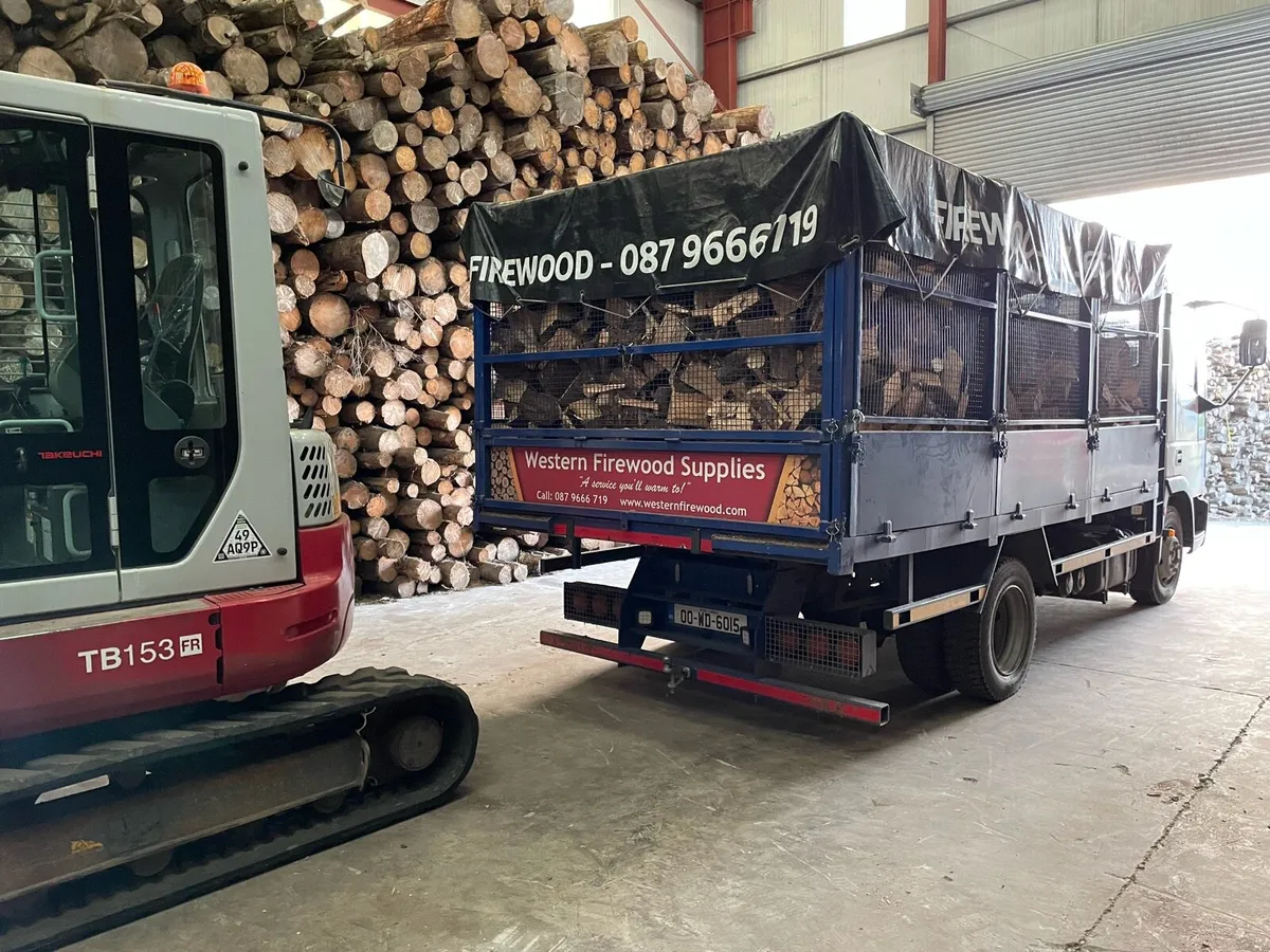 Firewood - Image 4