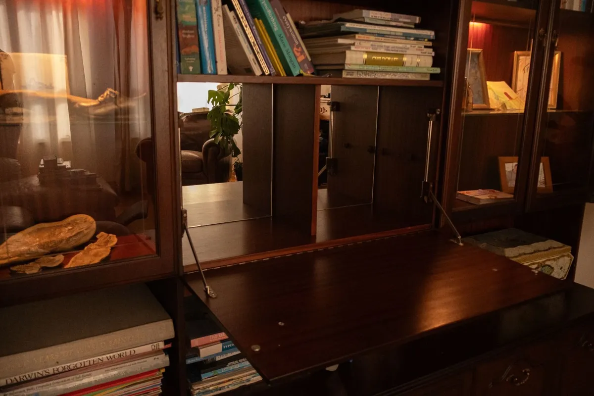 Display Cabinet,  Bookshelves, storage unit - Image 2