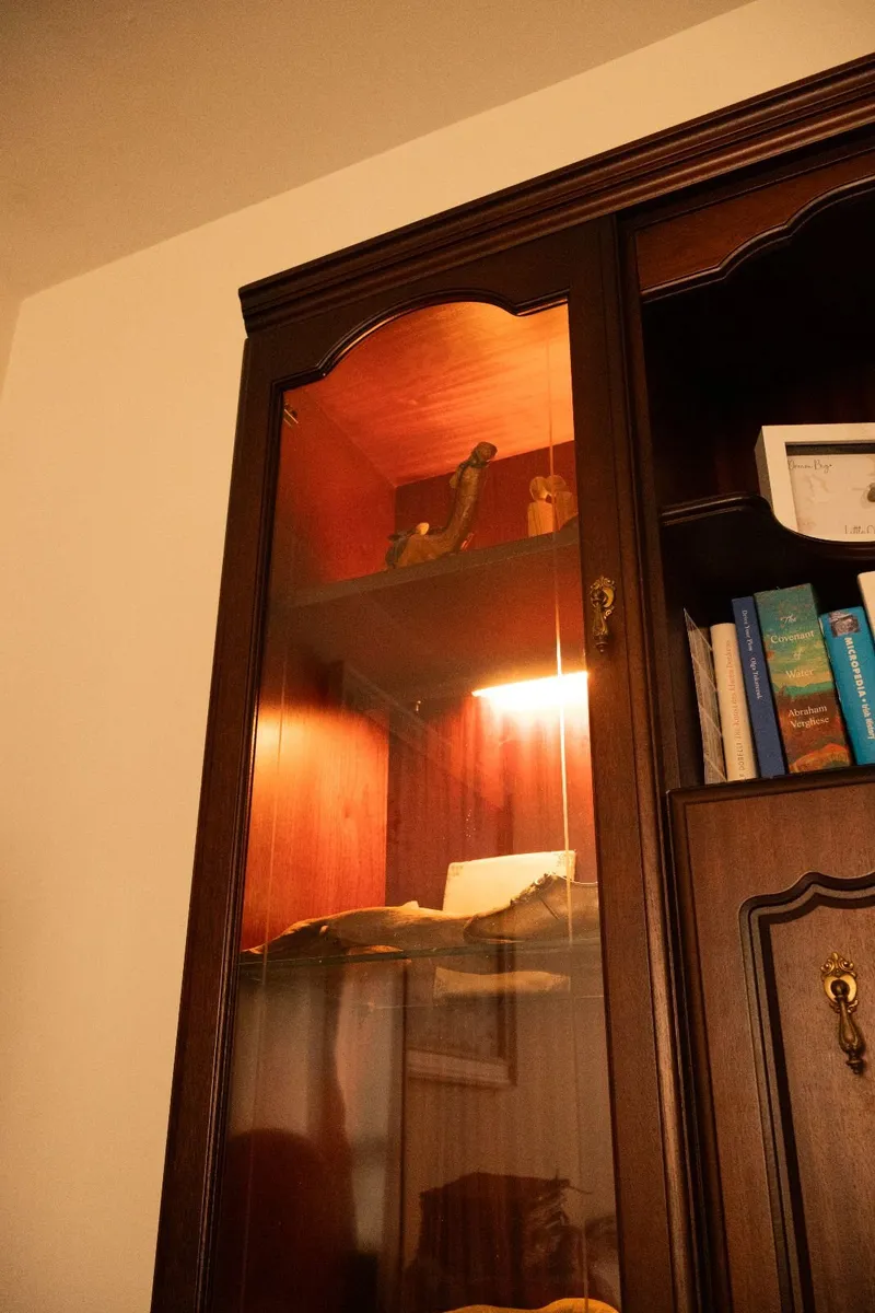 Display Cabinet,  Bookshelves, storage unit - Image 3