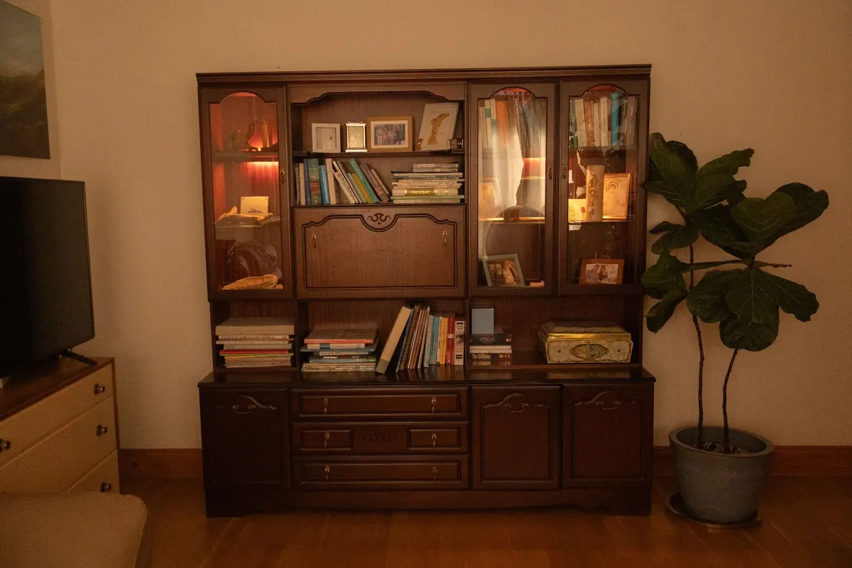 Display Cabinet,  Bookshelves, storage unit - Image 1