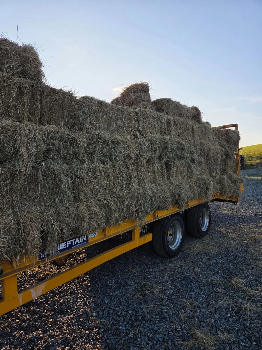 Hay for sale