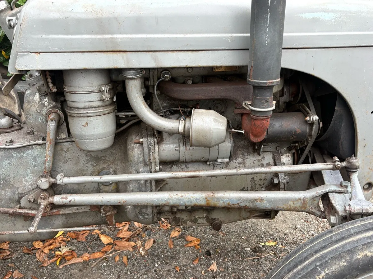 Ferguson 20 tef - Image 3