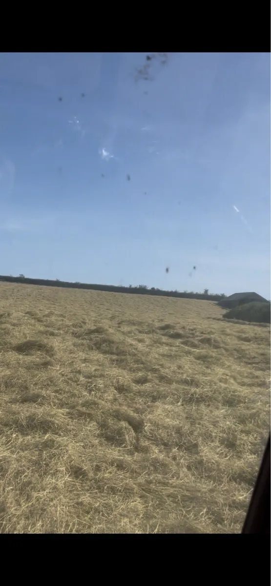 Small square bales of Haylage - Image 4
