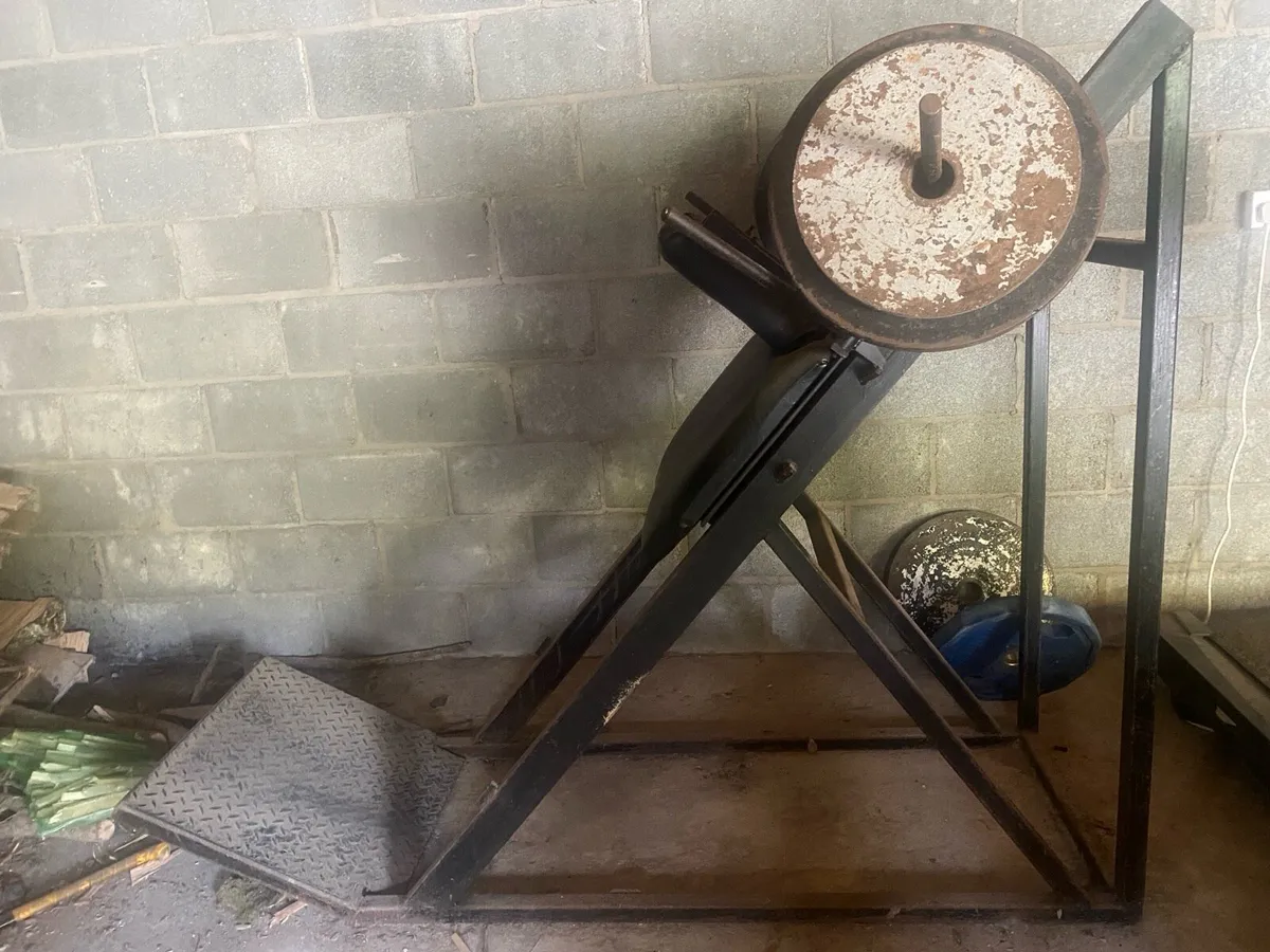 Hack Squat - Image 1