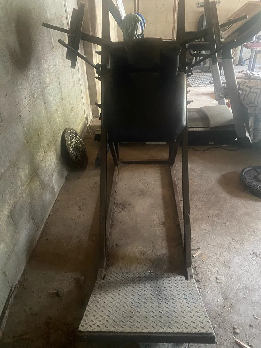 Hack Squat - Image 2