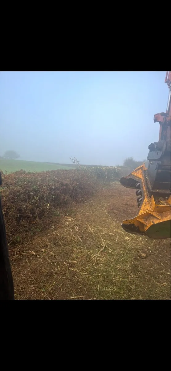 Mulching,tree shearing,digger work - Image 2