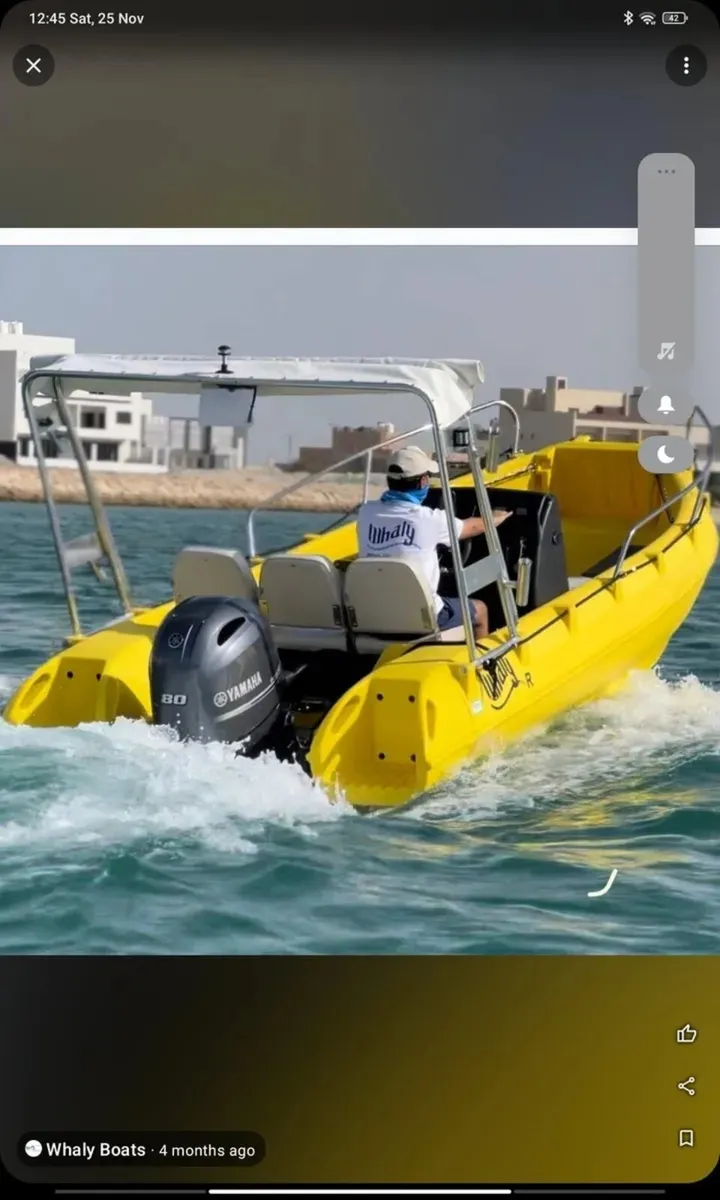 Whaly  500R  Professional - Image 1