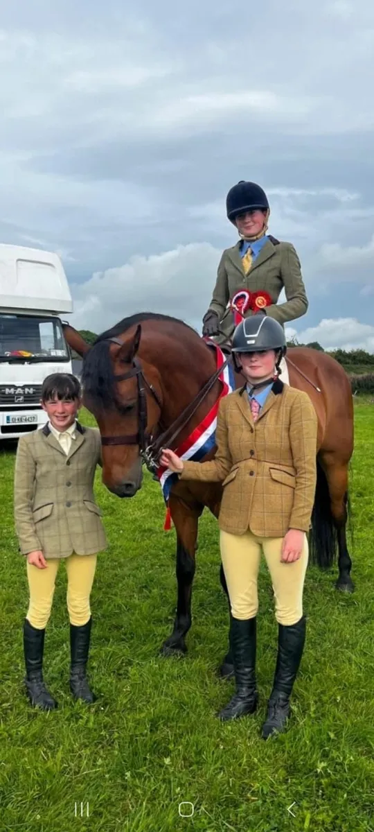 Connemara ponies in clifden sales on friday lot117 - Image 1