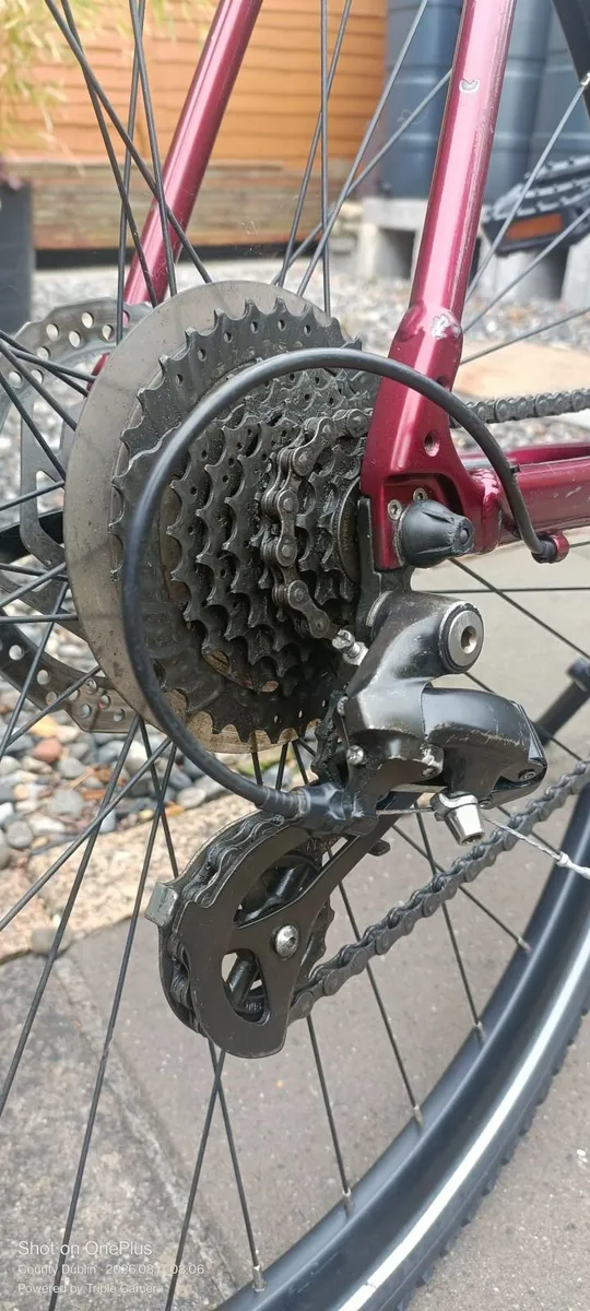 Bicycle - Image 4