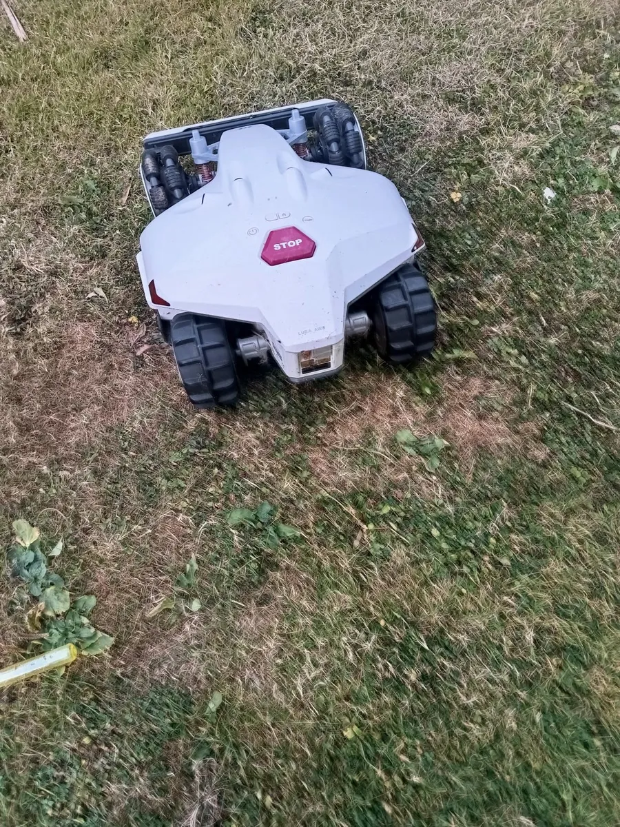 Robot lawnmower - Image 1