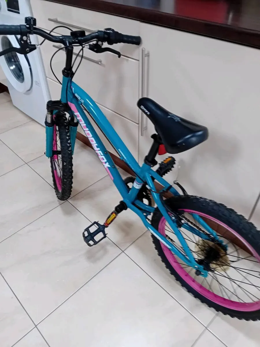 GIRLS BICYCLE 20 INCH WHEELS - Image 1