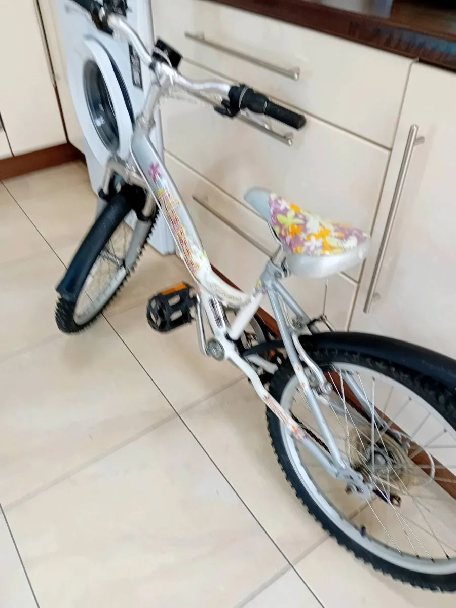 GIRLS BICYCLE 20 INCH WHEELS - Image 1