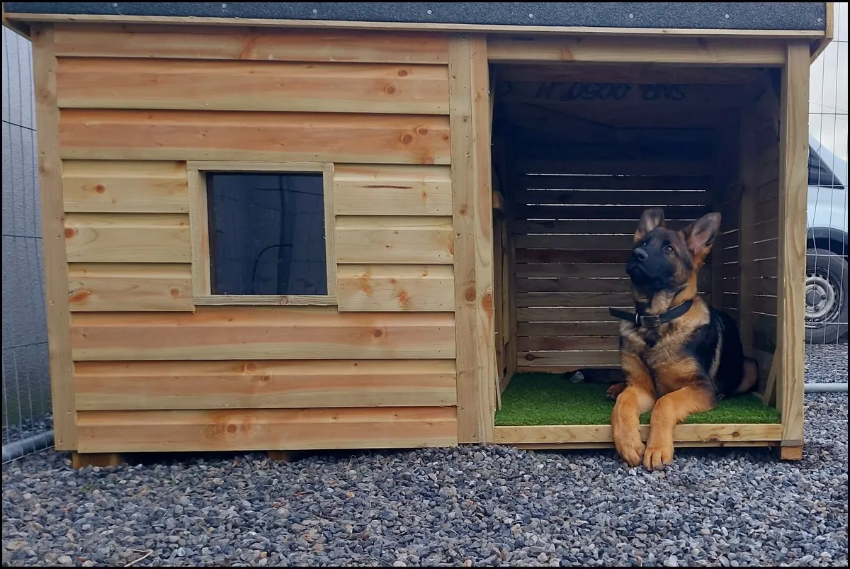 Dog Kennels - Image 3